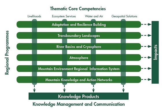 Thematic core compelencies